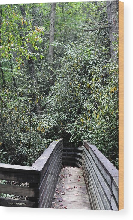 Nature Wood Print featuring the photograph The Path Forward by Kay Lovingood