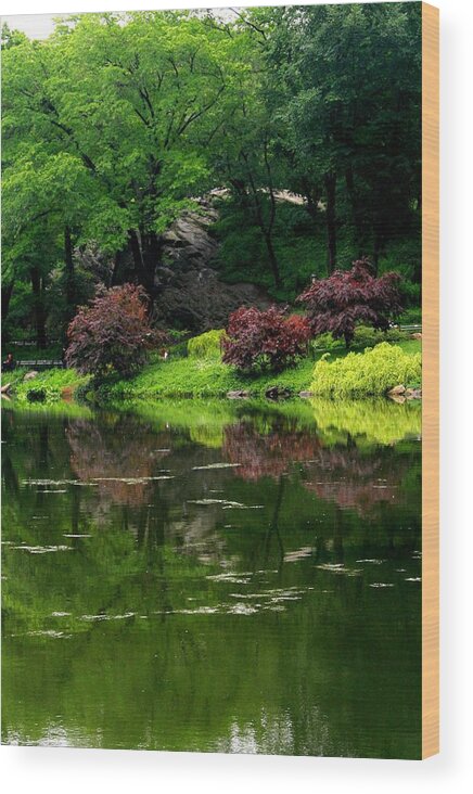 New York City Wood Print featuring the photograph The Pond in Central Park by Christopher J Kirby