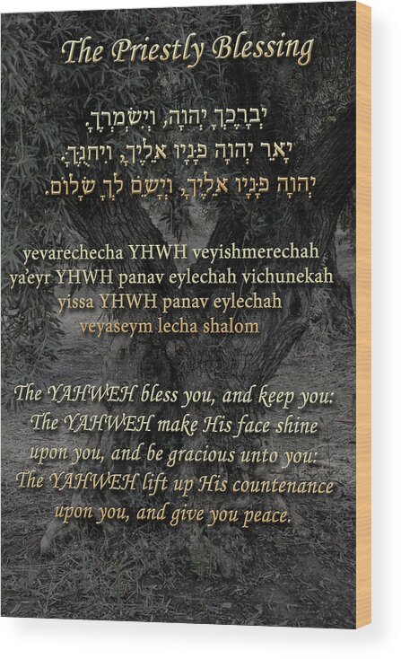 Blessing Wood Print featuring the photograph The Priestly Blessing Olive Tree by Tikvah's Hope