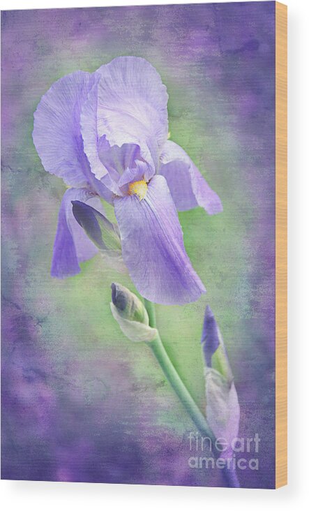 Iris Wood Print featuring the photograph The Purple Iris by Andee Design