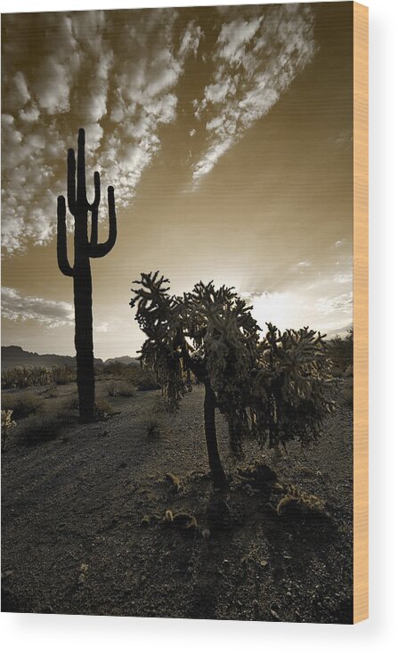 Sonoran Wood Print featuring the photograph The Sonoran in Sepia by Sue Cullumber