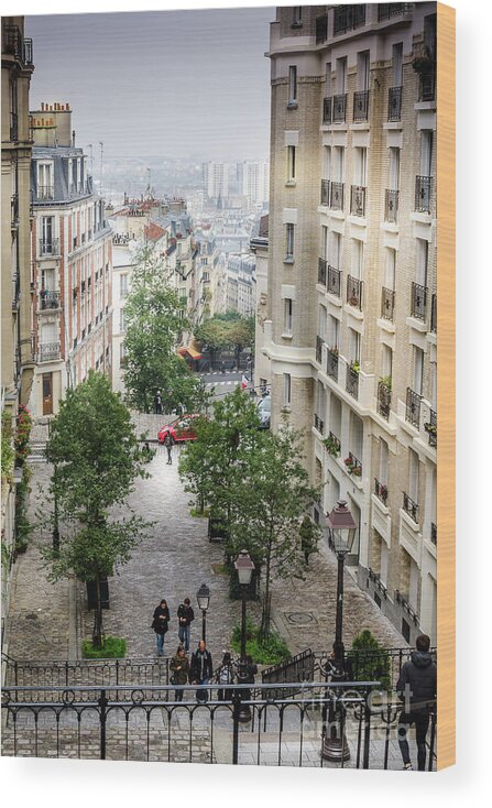 Paris Wood Print featuring the photograph The view from Montmartre steps, Paris France 2 by Perry Rodriguez