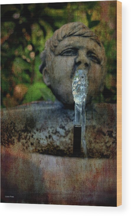 Fountain Wood Print featuring the photograph Thirsty Garden Art by Lesa Fine