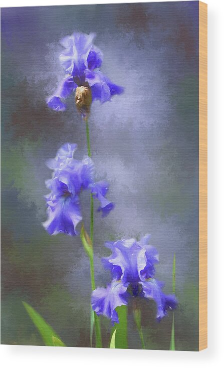 Photograph Wood Print featuring the digital art Three Iris by Lena Auxier