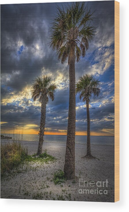 Clouds Wood Print featuring the photograph Three Palm Stew by Marvin Spates