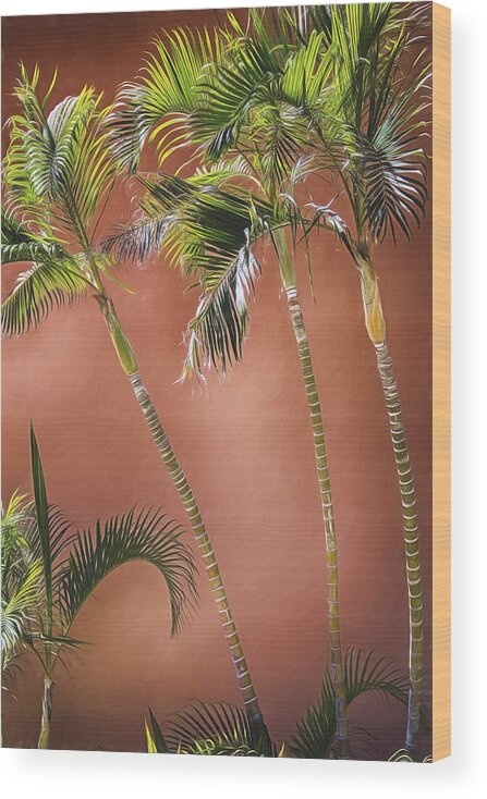Palm Trees Wood Print featuring the photograph Three Palms by Pamela Steege