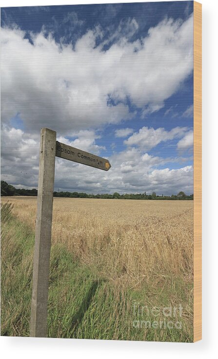 The Way Home English Countryside Wood Print featuring the photograph Through English Countryside by Julia Gavin