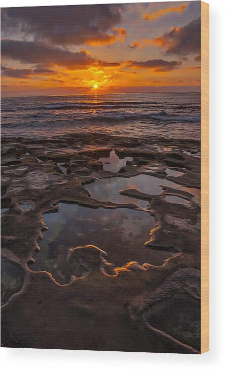 Beach Wood Print featuring the photograph Tidepools at La Jolla by Peter Tellone