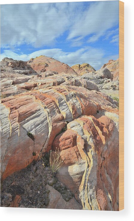 Valley Of Fire State Park Wood Print featuring the photograph Tiger Stripes in Valley of Fire by Ray Mathis