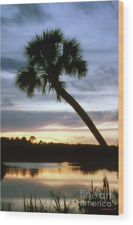 Sunset Wood Print featuring the photograph Tomoka River Sunset by Dodie Ulery