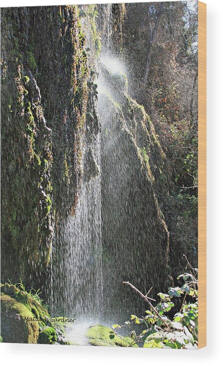 Waterfall Wood Print featuring the photograph Tonto Waterfall Splash by Matalyn Gardner
