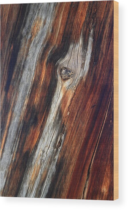 Red Wood Print featuring the photograph Tree trunk design by Pierre Leclerc Photography