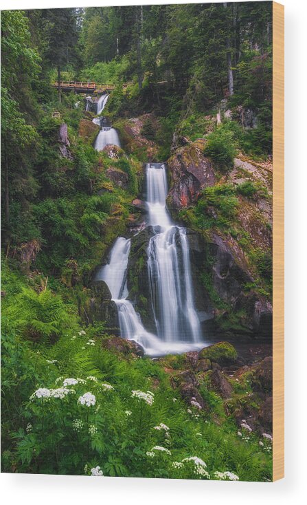 Waterfall Wood Print featuring the photograph Triberg Waterfalls by Shuwen Wu