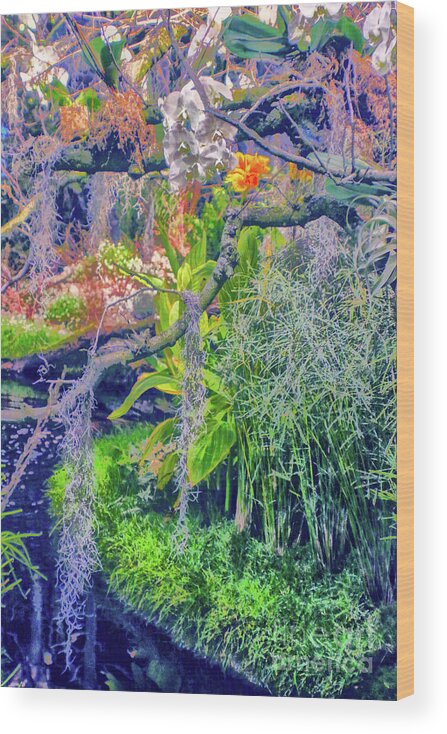Lush Wood Print featuring the photograph Tropical Garden by Sandy Moulder