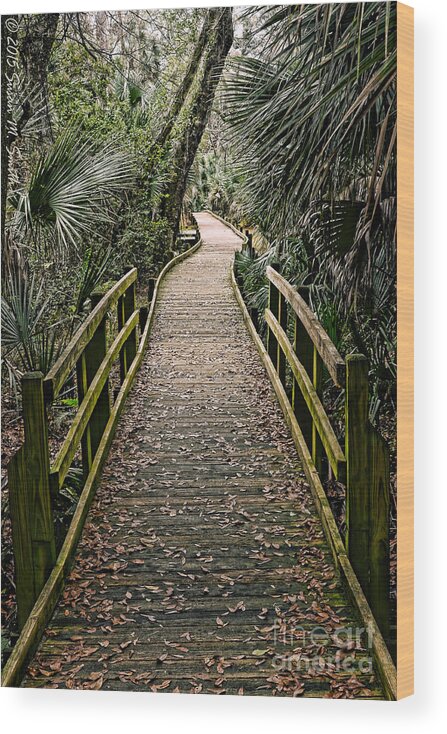 Photography Wood Print featuring the photograph Tropical Walk by Susan Smith