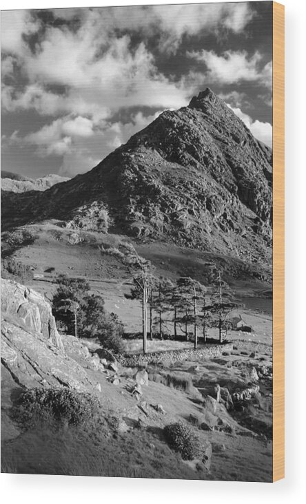 Landscape Wood Print featuring the photograph Tryfan and Ogwen Valley by Peter OReilly