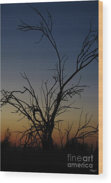 Photography Wood Print featuring the photograph Tucson Sunset by Rebecca Langen