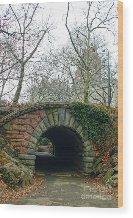 Park Wood Print featuring the photograph Tunnel on Pathway by Sandy Moulder