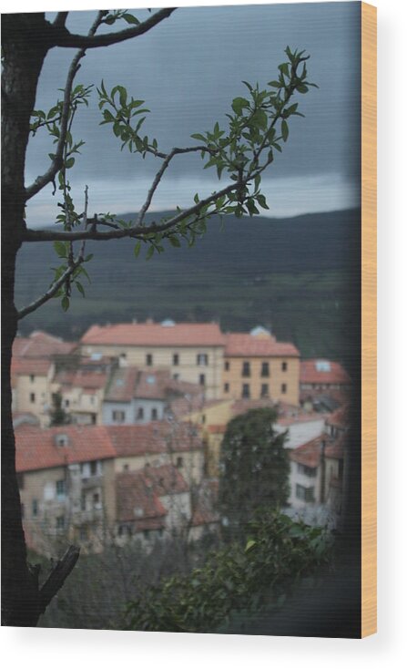 Tuscany Wood Print featuring the mixed media Tuscany fishing villiage by Lauren Serene