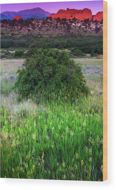 Colorado Wood Print featuring the photograph Twilight Colors by John De Bord
