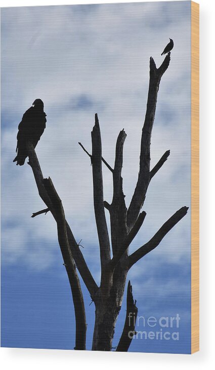 Plants Wood Print featuring the photograph Two Black, Birds by Skip Willits