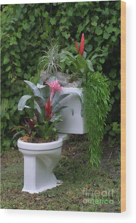 Loo Wood Print featuring the photograph Ultimate Flower Pot Loo by Dodie Ulery