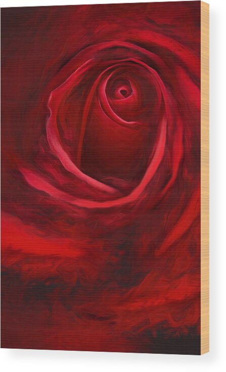 Roses Wood Print featuring the photograph Unfurling Beauty II by George Robinson