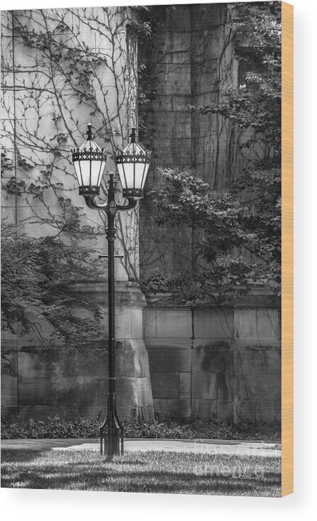 Chicago Wood Print featuring the photograph University of Chicago Hall Garden by University Icons