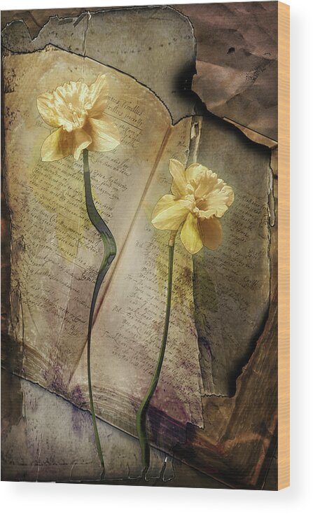 Flowers Wood Print featuring the photograph Unpublished by John Anderson