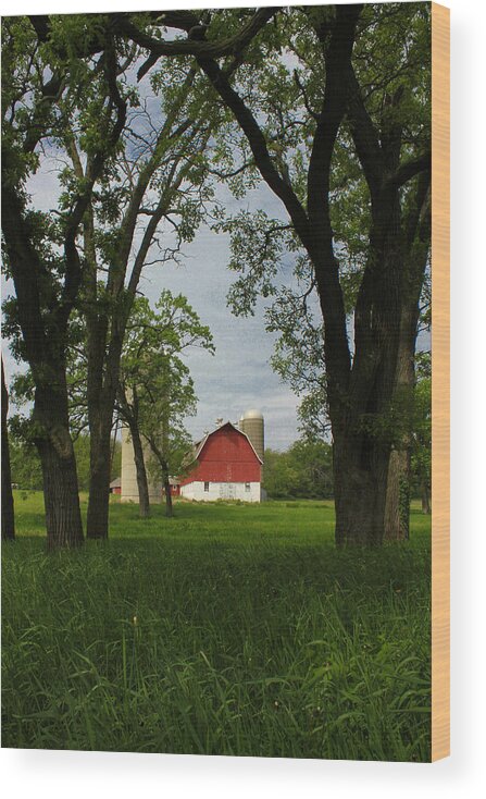 Red Wood Print featuring the photograph Up Yonder by Viviana Nadowski