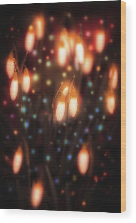 Light Wood Print featuring the photograph Upgrowing Lightbulbs by Marc Braner