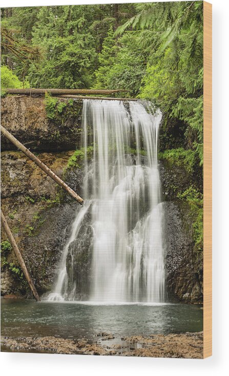 Silver Creek Falls Wood Print featuring the photograph Upper North Silver Falls Vertical by Mary Jo Allen
