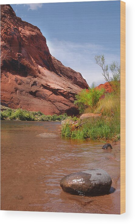 Utah Wood Print featuring the photograph Utah Landscapes by Craig Incardone