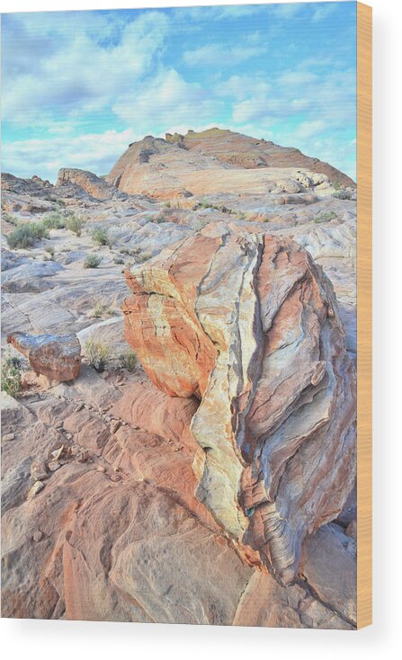 Valley Of Fire State Park Wood Print featuring the photograph Valley of Fire Alien Boulder by Ray Mathis