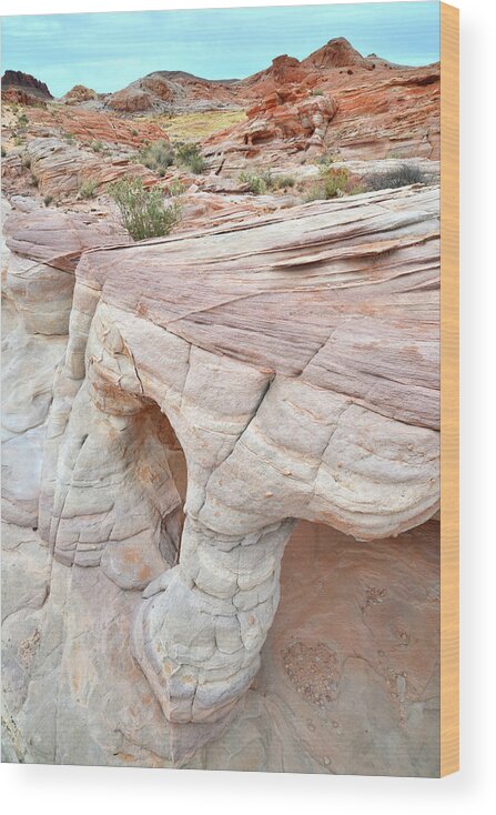 Valley Of Fire Wood Print featuring the photograph Valley of Fire's Wash 3 by Ray Mathis