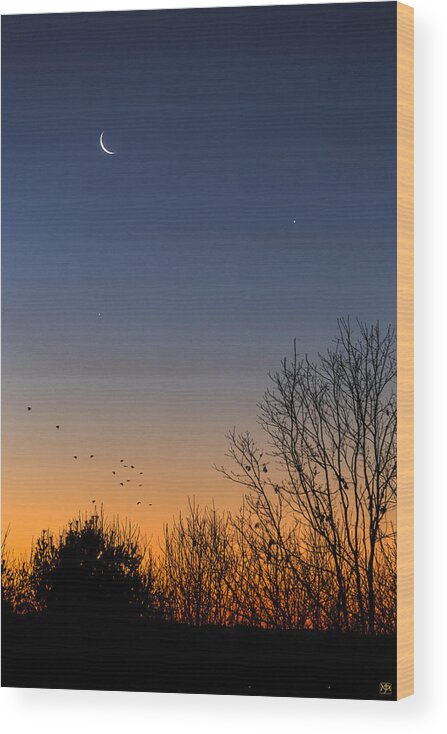 Moon Wood Print featuring the photograph Venus, Mercury and the Moon by John Meader