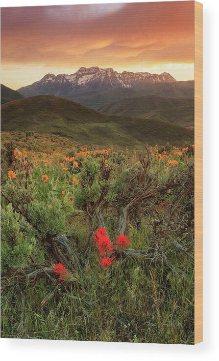 Timpanogos Wood Print featuring the photograph Vertical Timp with wildflowers by Wasatch Light