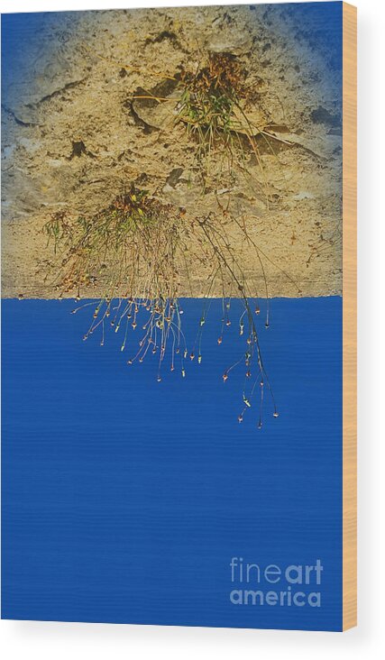 Deep Blue Sky Wood Print featuring the photograph Vertigo II by Jasna Buncic