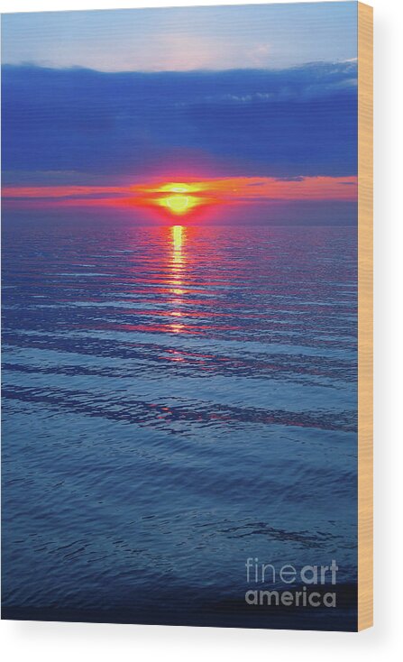 Sunset Wood Print featuring the photograph Vivid Sunset by Ginny Gaura