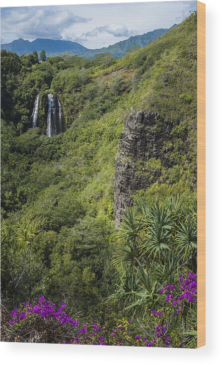 Hawaii Wood Print featuring the photograph Wailua Falls and Tropical Plants by Robert Potts