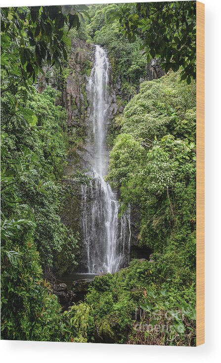 Bear Wood Print featuring the photograph Wailua Falls on the Road to Hana, Maui, Hawaii by Peter Dang