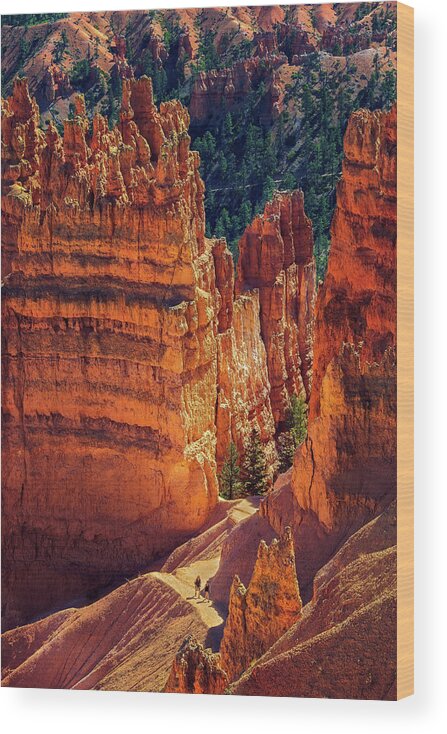 Bryce Canyon Wood Print featuring the photograph Walking Among Giants by John Hight