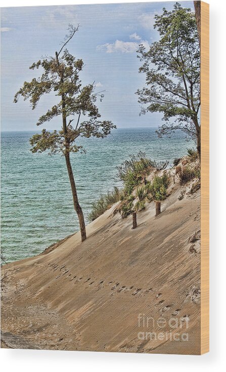 Sand Wood Print featuring the photograph Walking on the Edge by Cathy Beharriell