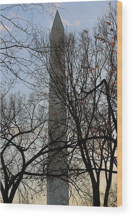 Washington Wood Print featuring the photograph Washington Monument Behind Trees by Cora Wandel
