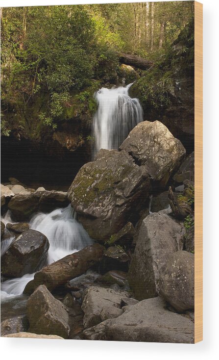 Smokies Wood Print featuring the photograph Waterfall 9288 by Peter Skiba