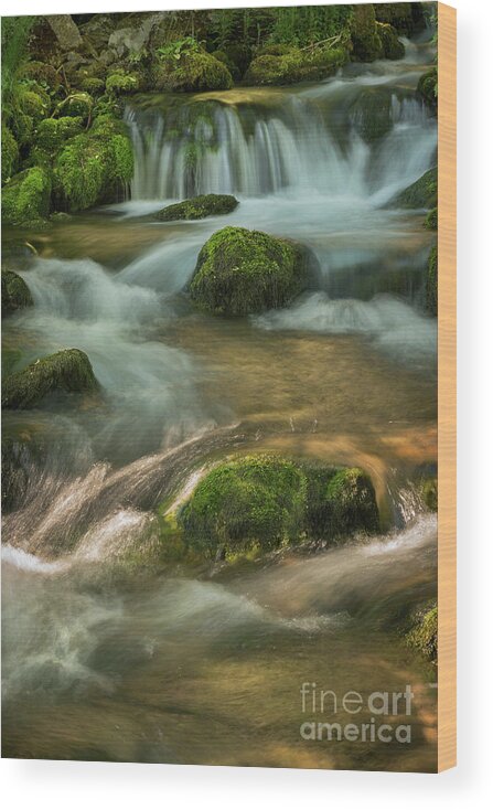 Waterfall Wood Print featuring the photograph Waterfall. Fine Art Landscape by Jelena Jovanovic