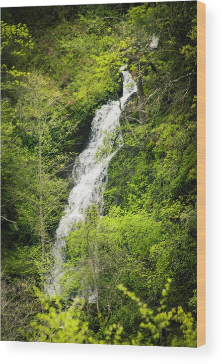 Waterfalls Wood Print featuring the photograph Waterfalls by Dr Janine Williams