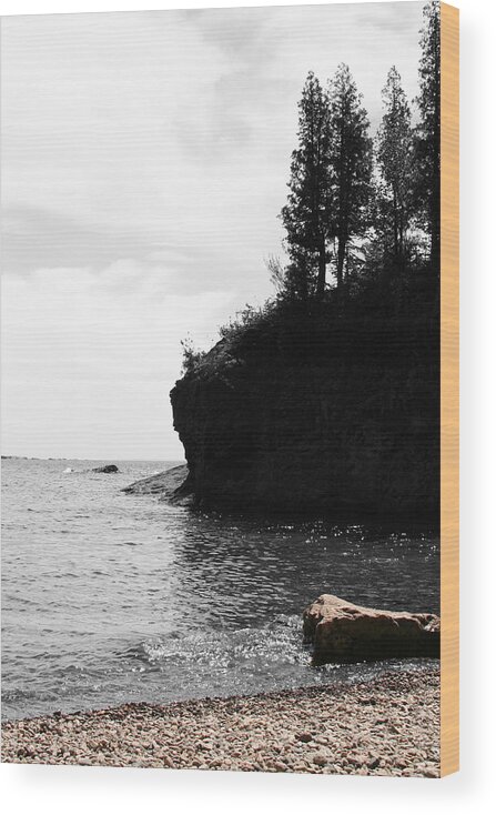 Water Wood Print featuring the photograph Water's Edge by Dylan Punke