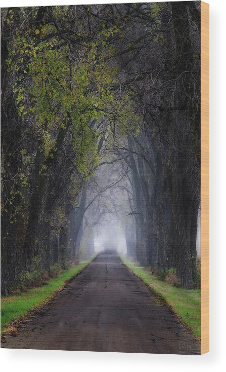 Weary Road Haunted Tree Tunnel Halloween Spooky Evansville Wi Wisconsin Vertical Landscape Green Misty Foggy Wood Print featuring the photograph Weary Road Tree Tunnel by Peter Herman