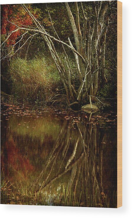 Cindi Ressler Wood Print featuring the photograph Weeping Branch by Cindi Ressler